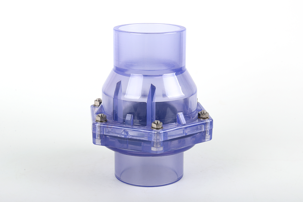 兴城透明翻板式止回阀